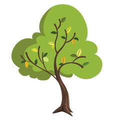 illustration tree for cartoon