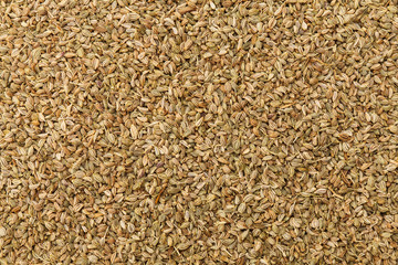 アジョワンシード