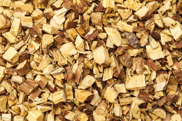 リコリス（中国）