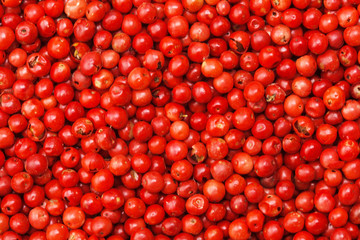 ピンクペッパー