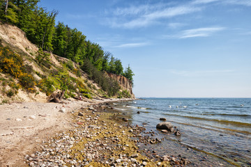 Fototapeta na wymiar Orlowo Cliff in Gdynia
