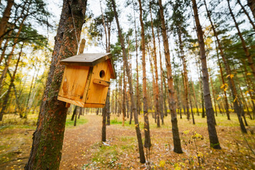 Wooden birdhouse on a pine tree.