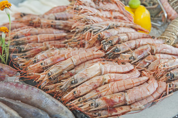 Collection of shrimp on display at seafood restaurant