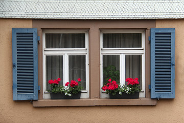 Fototapeta na wymiar Window with flowers