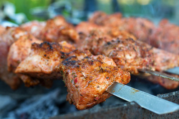 Roast pork Kebabs On BBQ Grill.selective focus