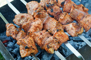 Roast pork Kebabs On BBQ Grill.selective focus