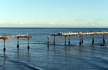 The Strait of Magellan at Punta arenas.