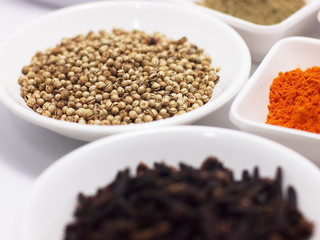 seasoning herb spice and bean for cooking