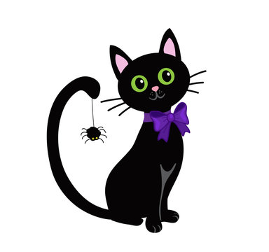 Cute black cat isolated on white background.Halloween.