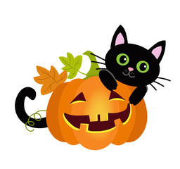 Halloween kitty cat and funny pumpkins. Vector illustration.
