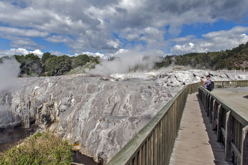 Whakarewarewa Geyser at Te Puia thermal park in geothermal valley of Rotorua, New Zealand