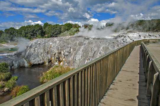 Whakarewarewa Geyser at Te Puia thermal park in geothermal valley of Rotorua, New Zealand