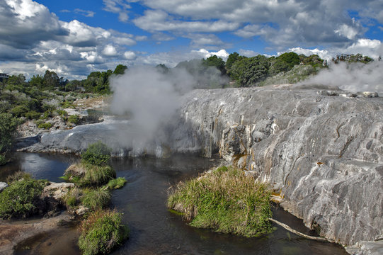 Whakarewarewa Geyser at Te Puia thermal park in geothermal valley of Rotorua, New Zealand