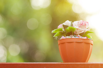 rose flower decoration with blue garden background