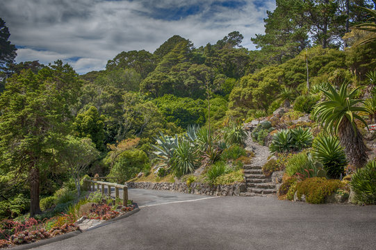 Botanic garden in Wellington, New Zealand