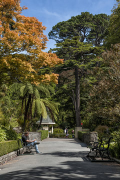 Visitors resting at Wellington Botanic Garden, New Zealand