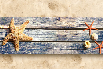 Marine life on old wooden boards on the sand beach