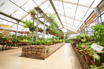 Halle mit Pflanzen im Gartencenter