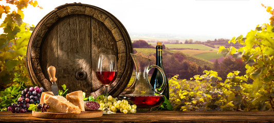 Wine barrel on vineyard
