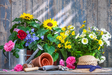 Gardening tools and flowers on the terrace