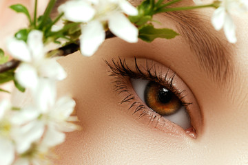 Fototapeta premium Gorgeous young model, beautiful woman eye with fresh flower