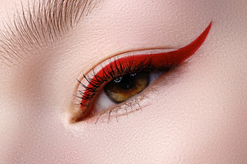 Elegance close-up of beautiful female eye with fashion trend make-up