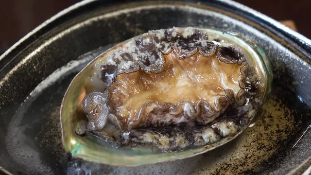 活けあわびの蒸し焼き