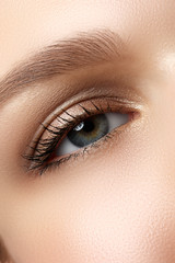Macro shot of woman's beautiful eye with extremely long eyelashes