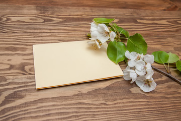 blossoming of apple branch, greeting card, blank on shaby wooden