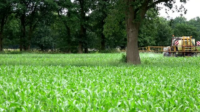 Farmer tractor row crop sprayer applying spraying pesticide over corn field start spraying poison young stalks showing chemicals acid coming from machine behind tractor driving through green field 4k