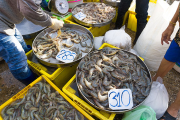 Fresh shrimp in seafood market on morning