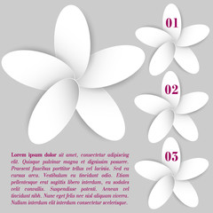 Floral info graphic with text
Round white paper petal shadow combined in infographic flower on a gray background for your design
