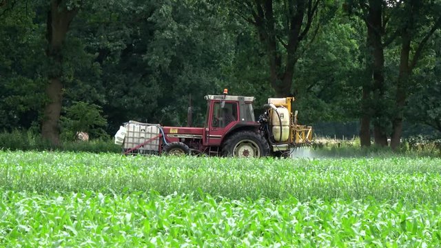 Farmer in tractor row crop sprayer applying spraying pesticide over corn field dolly shot to left young stalks showing chemicals acid coming from machine behind tractor driving through green field 4k