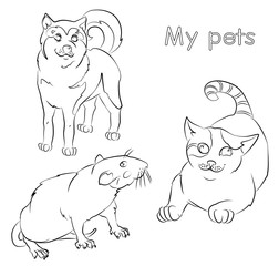 black and white image of a cat, rat and dog- suitable for a child's coloring, and not only. For your convenience, each significant element is in a separate layer.