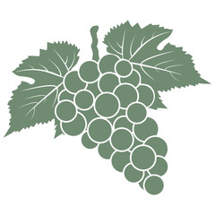 bunch of white grapes with leaves