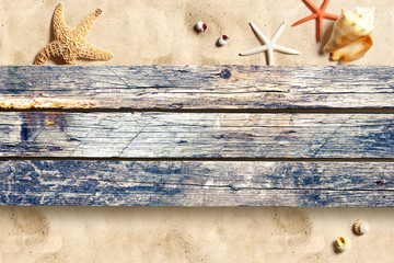Marine life on old wooden boards on the sand beach