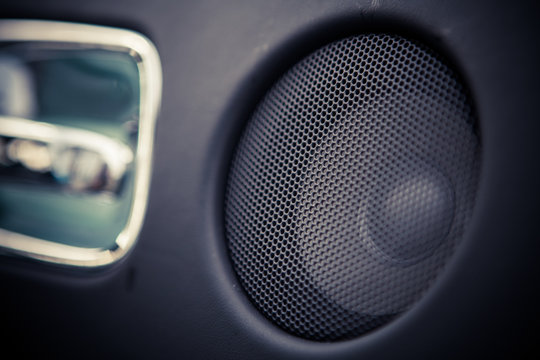 Car speaker detail