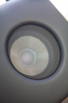 Car speaker detail