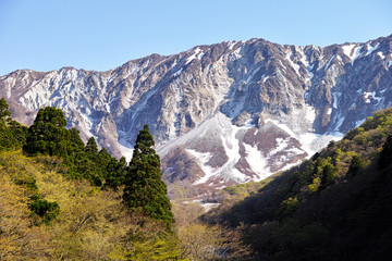 春の大山　北壁