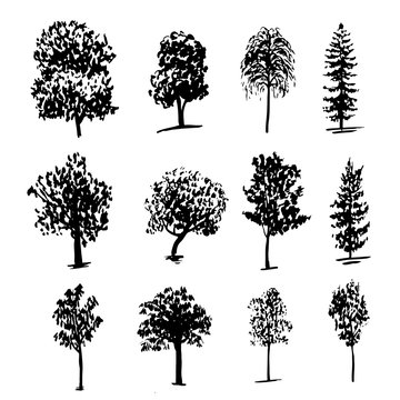 drawing collection of 12 elements of different types of trees graphic ink sketch hand drawn vector illustration