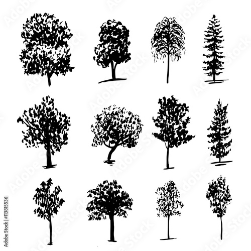 "drawing collection of 12 elements of different types of trees graphic