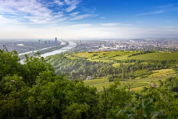 Rolgordijnen Cityscape of Vienna and Danube in the early morning, Austria © auergraphics