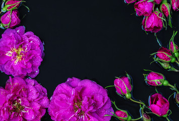Fototapeta na wymiar Rose buds tea rose with rain drops lying on a black background