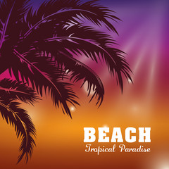 Summer season. Palm and beach icon. vector graphic