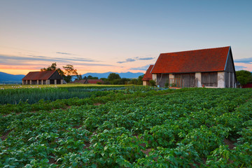 Traditional barns in Turiec region, northern Slovakia.