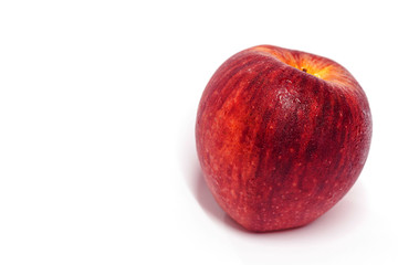 Red apple on white background