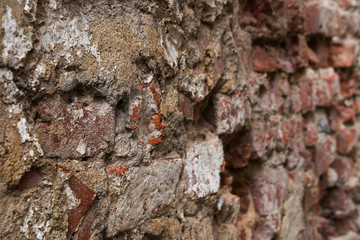 background texture, old destroyed brick wall with selected focus, narrow depth of field