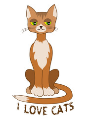 Ginger cat sitting alone on white background