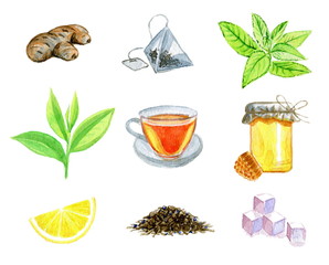 Watercolor set of ginger, teabag, mint, tea leaf, tea cup, bank of honey & honeycomb, lemon, dry tea and refined sugar