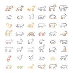 Vector color line set of silhouettes of animals